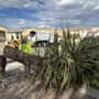 Photo of TreePros