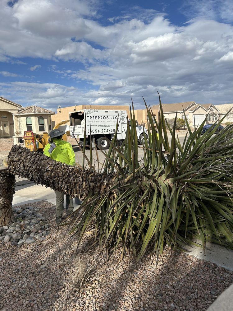 TreePros - tree service in Albuquerque, NM
