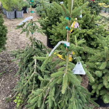 Jung Garden Center - Nurseries & Gardening Near Me - Madison, Wisconsin