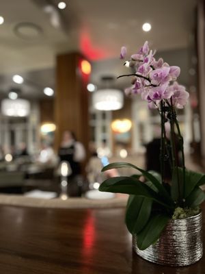 Bourbon Steak by Michael Mina by null