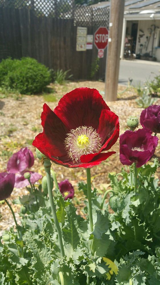 FRESNO PIPE & SUPPLY Updated August 2024 4696 E Commerce Ave