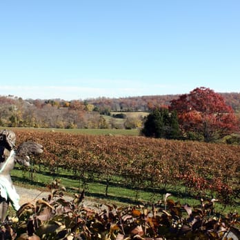 Mediterranean Cellars Winery - Wineries Near Me - Warrenton, Virginia