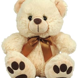 Radical Wellness - Energy Therapy Bears