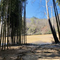 Whitewater Creek Trail