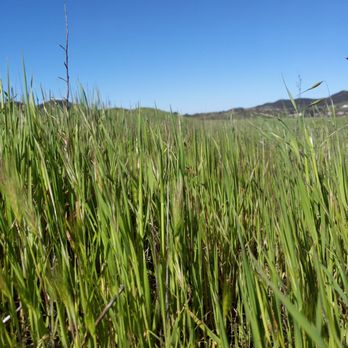 Point Mugu State Park - Parks Near Me - Malibu, California Point Mugu State Park - Parks Near Me - Malibu, California