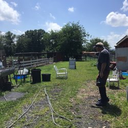 Country Fresh Farm - The yard and pig pen