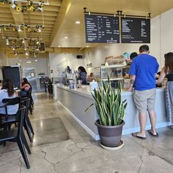 Cyclops Coffee - Woah, check out what sprouted in front of counter.