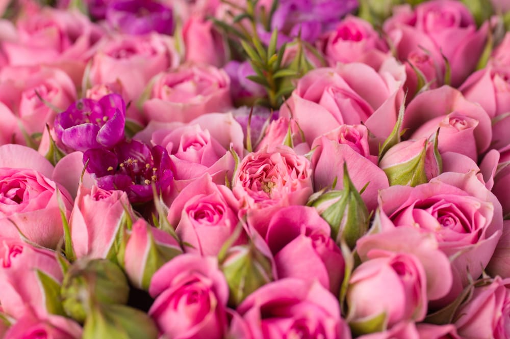 ROSE BLOMSTERBUTIKK Updated September 2024 Turbinveien 1, Oslo