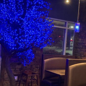 Yamato JR - a tree with blue lights - Japanese Near Me - Hope Mills, North Carolina Yamato JR - a tree with blue lights - Japanese Near Me - Hope Mills, North Carolina