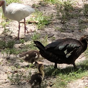 Veterans Wayside Park - Parks Near Me - Pinecrest, Florida