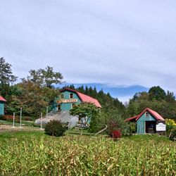 Quiet Creek Herb Farm & School of Country Living - Quiet Creek is 100% sustainable energy -- using geothermal, solar, wind and biomass. Come take a class with us!