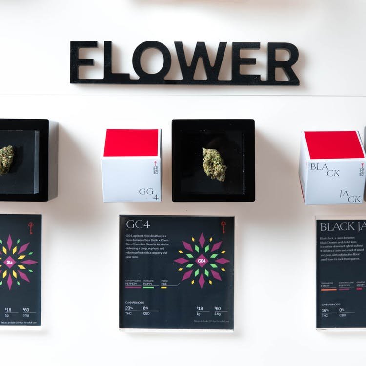 HAPPY VALLEY GLOUCESTER Updated July 2024 12 Photos & 25 Reviews