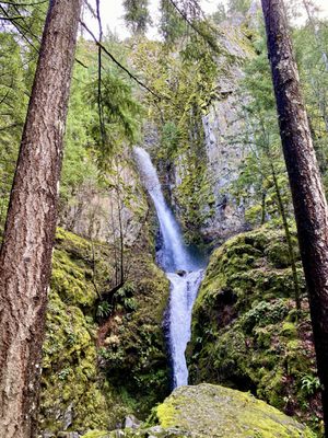 Starvation Creek Falls by null