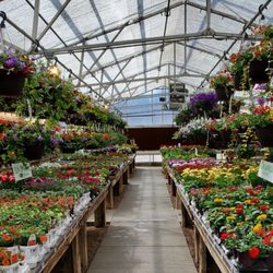 Urban Garden
