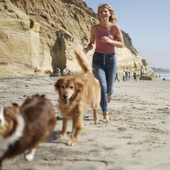 Perky Paws Pet Training - Pet Training Near Me Perky Paws Pet Training - Pet Training Near Me
