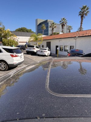 Calif Chicken Cafe by null