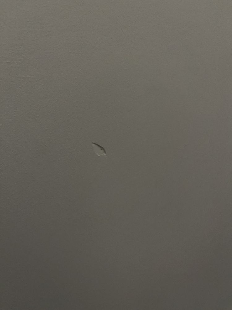 Slide of Boston Standard Company