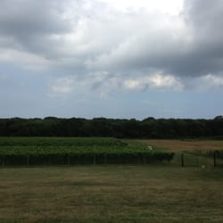 Coastal Vineyard - Vineyards