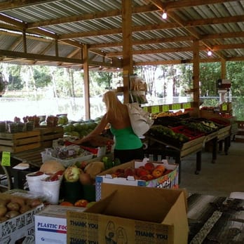 Theiss Farm Market - A view of some produce (not the lady). - Farmers Market Near Me - Spring, Texas Theiss Farm Market - A view of some produce (not the lady). - Farmers Market Near Me - Spring, Texas