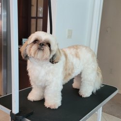 Peace River Veterinary Clinic - Teddy is all clean and ready for the day!