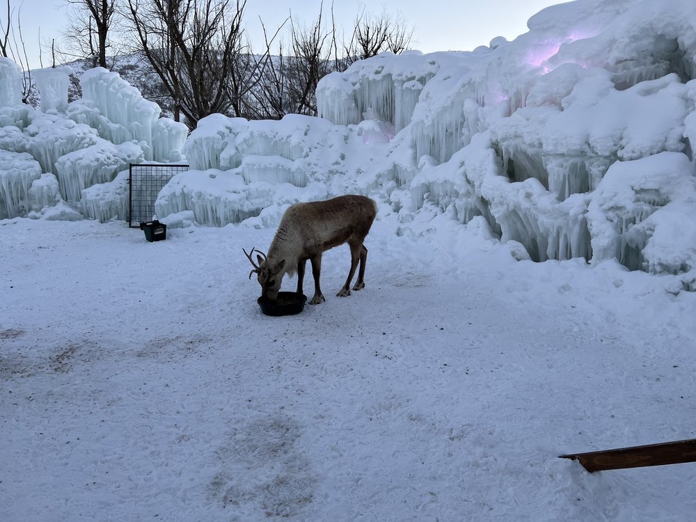 ICE CASTLES UTAH Updated October 2024 265 Photos & 113 Reviews