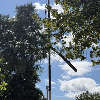 Tree Service of Troy - Tree Services Near Me - Troy, Michigan Tree Service of Troy - Tree Services Near Me - Troy, Michigan