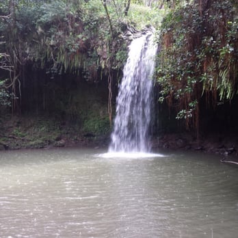 Hike Maui - Tours Near Me - Kahului, Hawaii