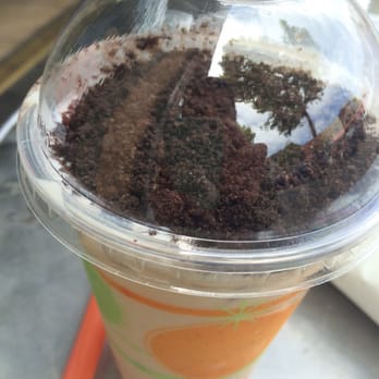 Sushi Secrets - Jasmin tea cow milk tea - Japanese Near Me - Berkeley, California