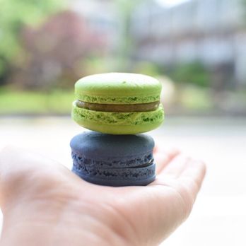 Praliné - Blueberry lavender and pistachio - Coffee & Tea Near Me - Belmont, Massachusetts Praliné - Blueberry lavender and pistachio - Coffee & Tea Near Me - Belmont, Massachusetts