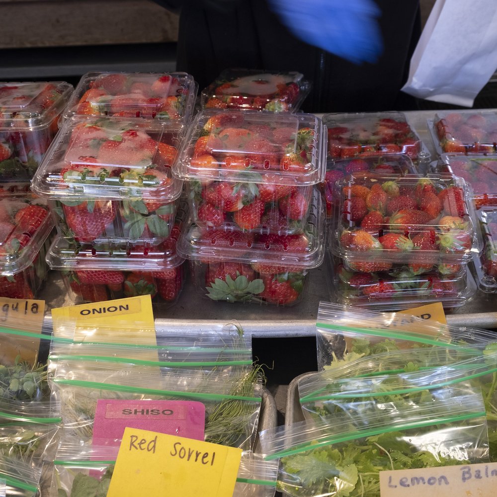 Chino Farm - Fruits & Veggies Near Me - Rancho Santa Fe, California