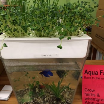 Natural Grocers - Wonderful Aqua farms to grow your own sprouts - Grocery Near Me - Shawnee, Kansas Natural Grocers - Wonderful Aqua farms to grow your own sprouts - Grocery Near Me - Shawnee, Kansas
