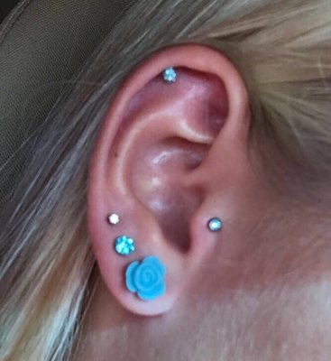 Body Jewel Tattoo Piercing 9679 Colerain Ave Cincinnati Oh Tattoos Piercing Mapquest