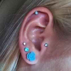 Body Jewel Tattoo & Piercing - Tragus piercing done at Body Jewel Tri-County. Jewelry in cartilage piercing was also purchased here.