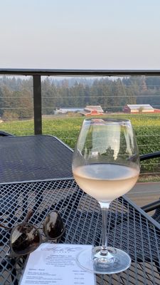 Hawks View Winery by null