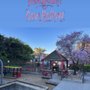 Photo of ¡HolaKids! - Cow Hollow