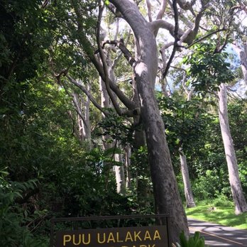 Pu'u 'Ualaka'a State Park - Parks Near Me - Honolulu, Hawaii