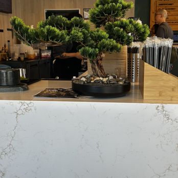 Matcha & Creme - Bonsai tree - Cafes Near Me - Dallas, Texas