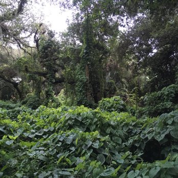 Pine Island Ridge - Parks Near Me - Davie, Florida