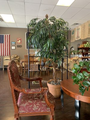 Desert Wind Coffee Roasters by null