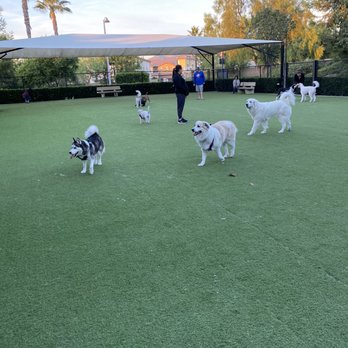 Barker Ranch Dog Park - Large dog side of dog park - Dog Parks Near Me - Lake Forest, California Barker Ranch Dog Park - Large dog side of dog park - Dog Parks Near Me - Lake Forest, California