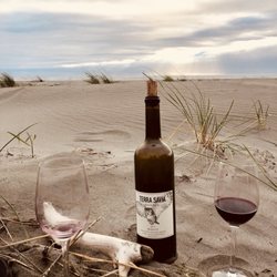 Little River State Beach - Wine makes a muted Humboldt sunset even better.