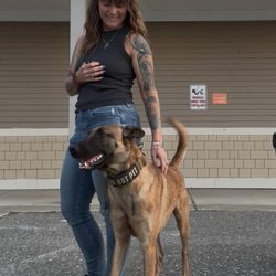 Intuitive Wolf K9 Training