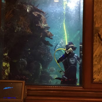 Hemingway's Blue Water Cafe - Say hi to the diver - Seafood Near Me - Springfield, Missouri Hemingway's Blue Water Cafe - Say hi to the diver - Seafood Near Me - Springfield, Missouri