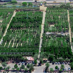 Moon Valley Nurseries