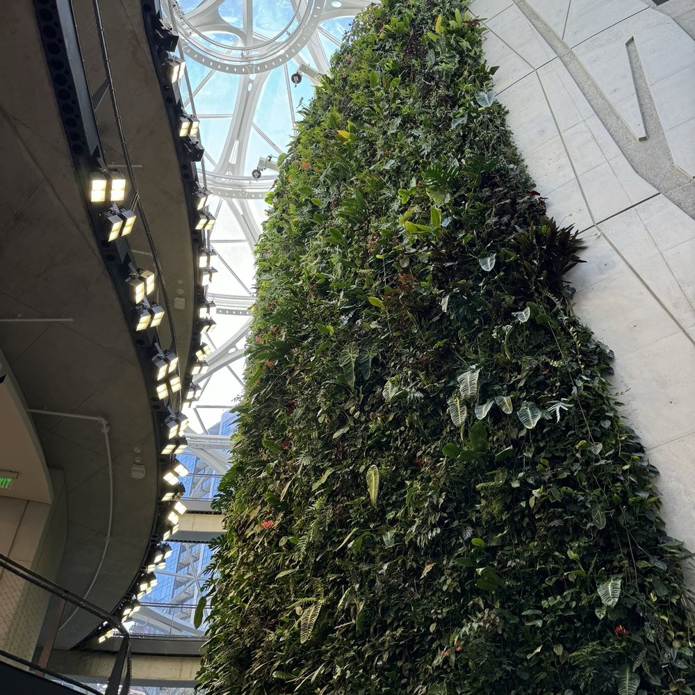 Amazon Spheres - Botanical Gardens Near Me - Seattle, Washington Amazon Spheres - Botanical Gardens Near Me - Seattle, Washington
