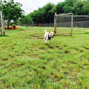 Ala Wai Dog Park - Dog Parks Near Me - Honolulu, Hawaii Ala Wai Dog Park - Dog Parks Near Me - Honolulu, Hawaii