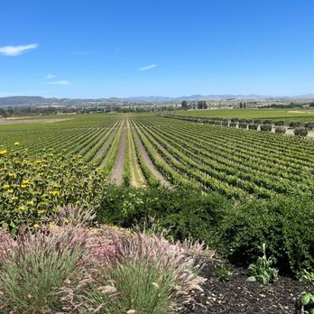 Gloria Ferrer Winery - Wineries Near Me - Sonoma, California Gloria Ferrer Winery - Wineries Near Me - Sonoma, California