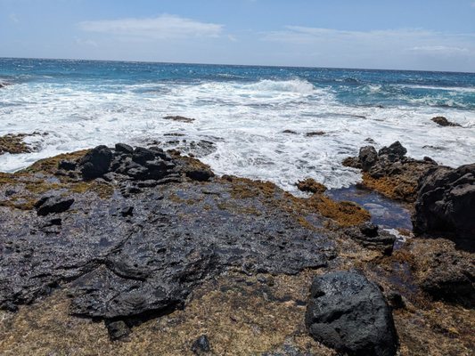 Halona Beach Cove by null