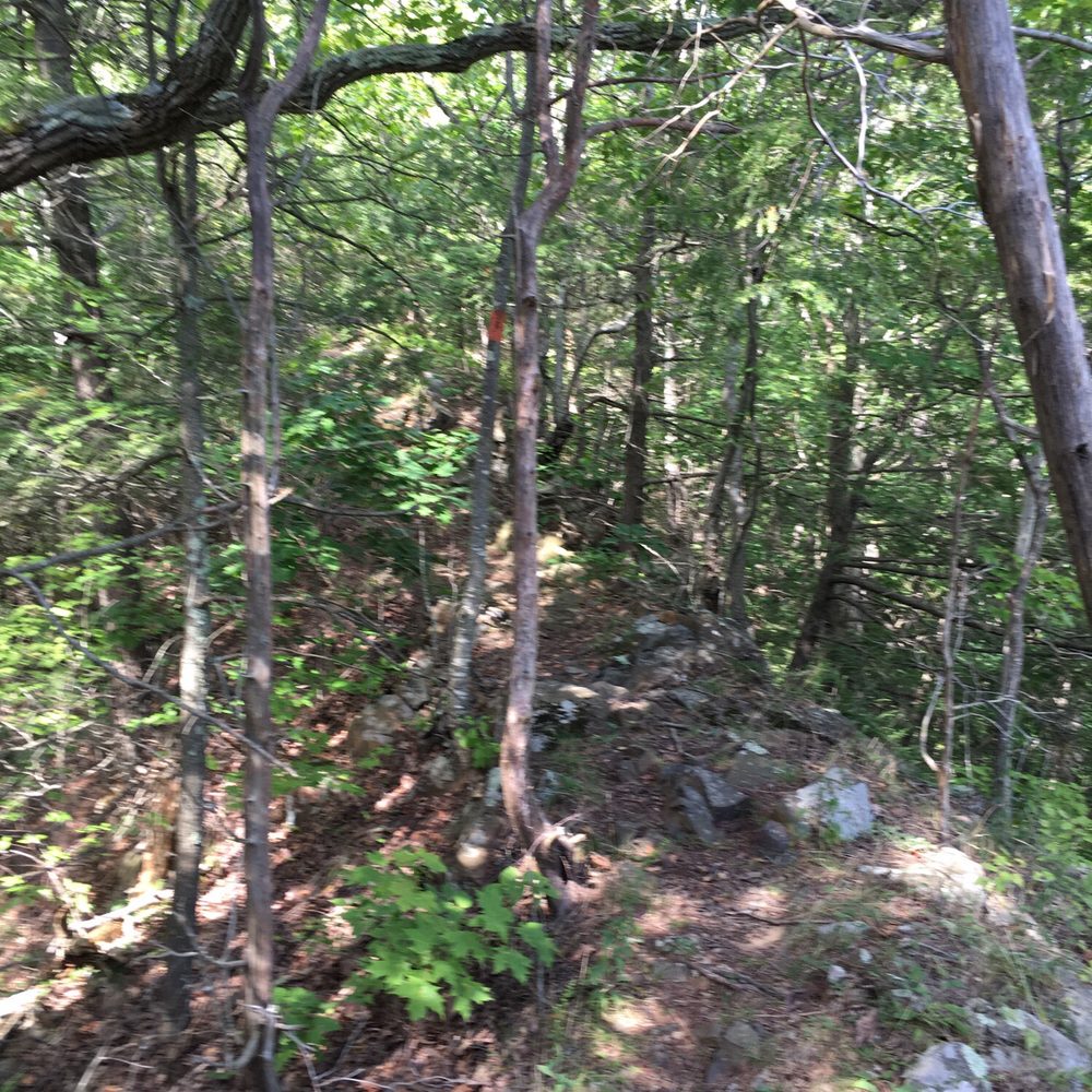 Tyler Mill Preserve - Ridge. Tyler Mill Preserve Trail, Wallingford, CT. - Hiking Near Me - Wallingford, Connecticut Tyler Mill Preserve - Ridge. Tyler Mill Preserve Trail, Wallingford, CT. - Hiking Near Me - Wallingford, Connecticut