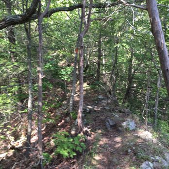 Tyler Mill Preserve - Ridge.  Tyler Mill Preserve Trail, Wallingford, CT. - Hiking Near Me - Wallingford, Connecticut